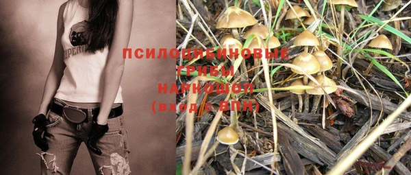 кокс Корсаков