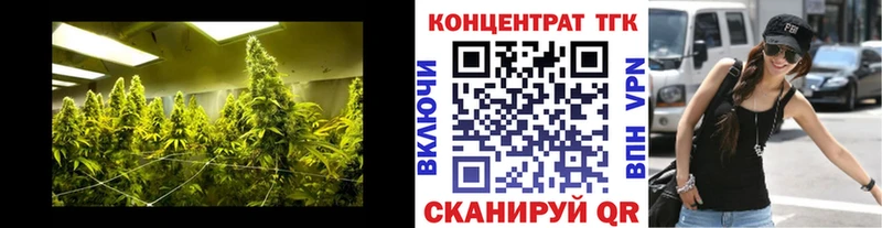 сайты даркнета наркотические препараты  Подпорожье  ТГК гашишное масло 